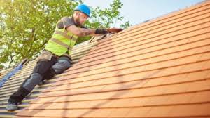 Best Roof Moss and Algae Removal  in Egypt Lake Leto, FL