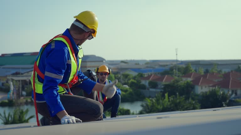 Best Roof Maintenance and Cleaning  in Egypt Lake Leto, FL