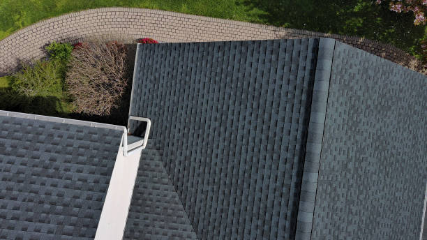Professional Roofing Service in Egypt Lake Leto, FL