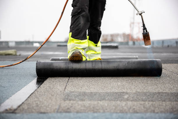 Asphalt Shingles Roofing in Egypt Lake Leto, FL