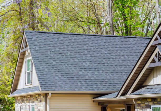 Steel Roofing in Egypt Lake Leto, FL